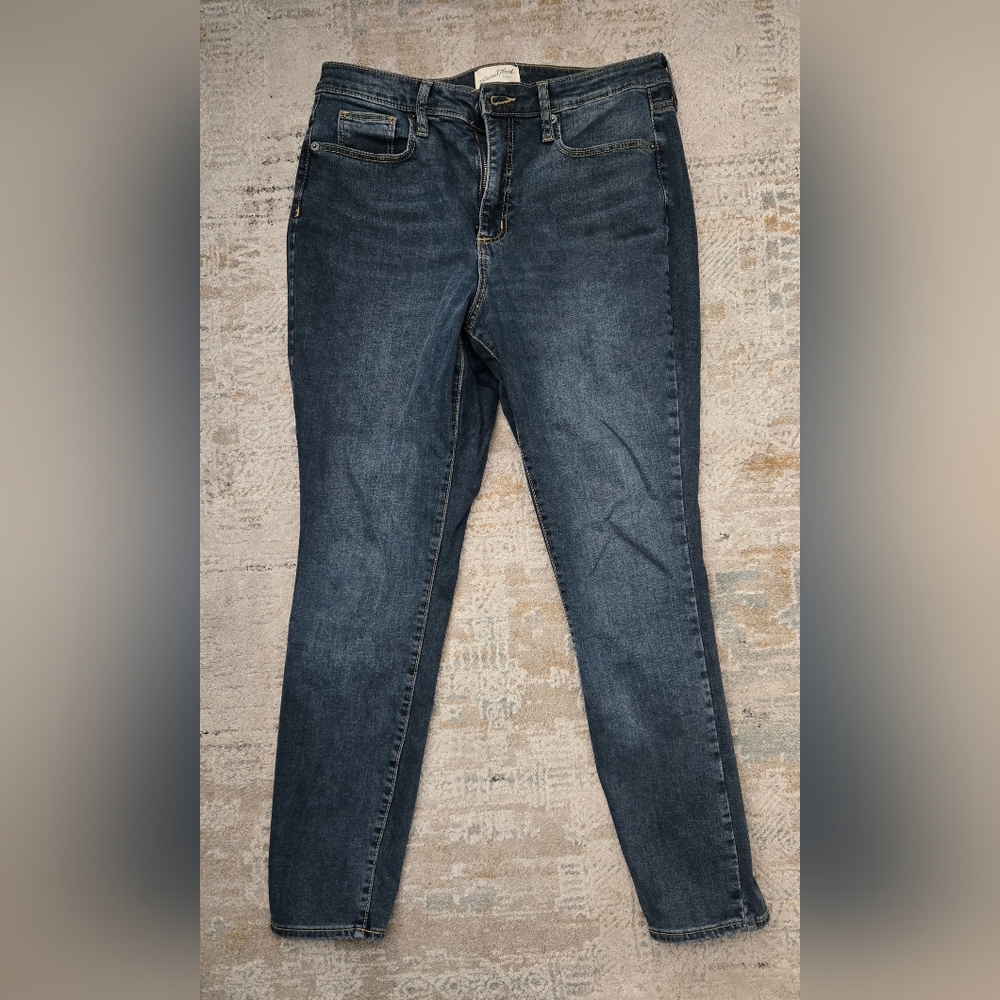 Universal Thread Indigo Skinny Jeans